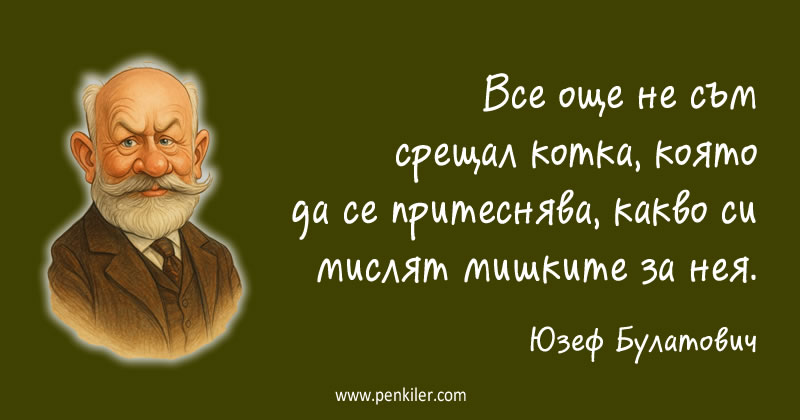 За котките и мишките